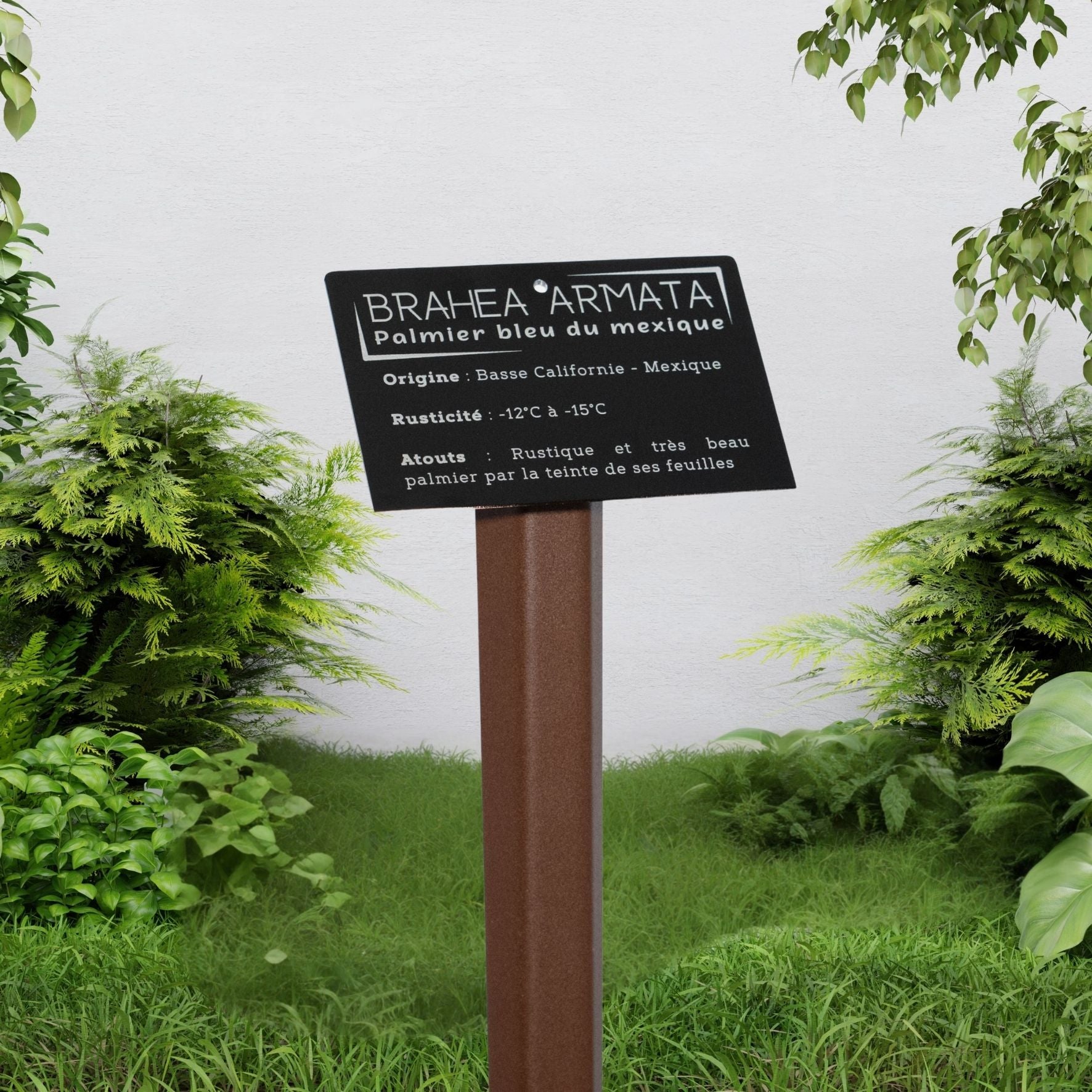Piquet acier thermolaqué + Plaque d'identification végétale aluminium anodisé brossé