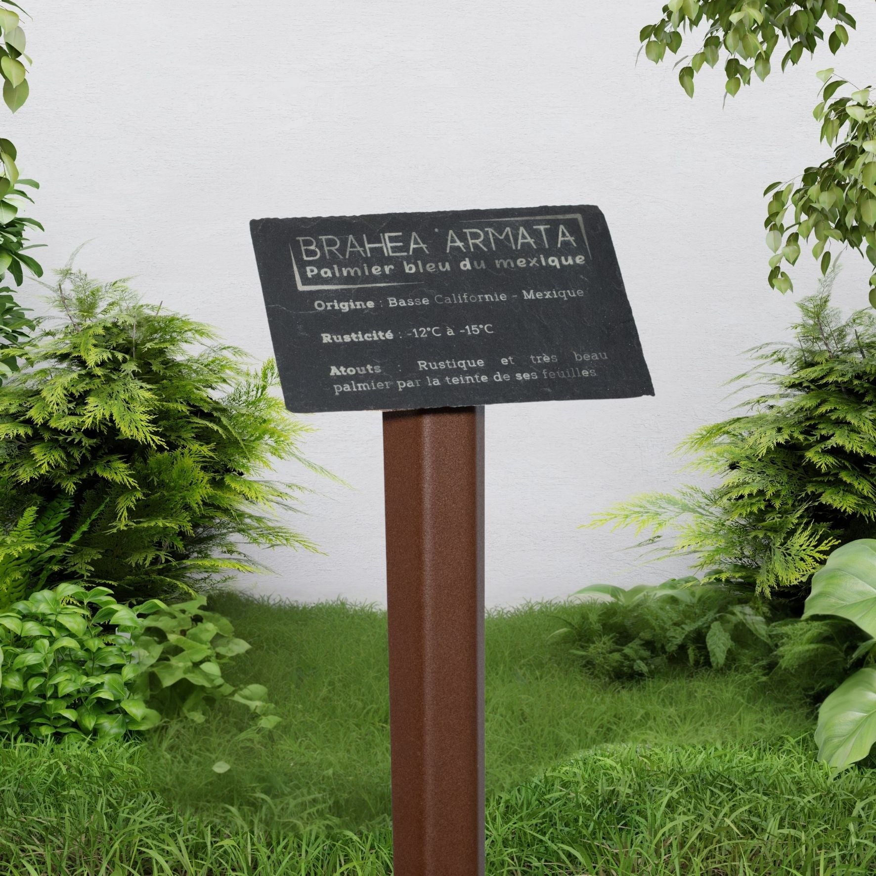 Piquet acier thermolaqué + Plaque d'identification végétale ardoise